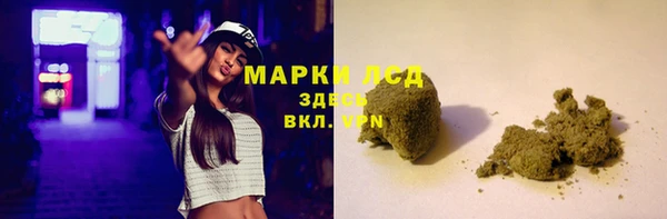 гидра Володарск