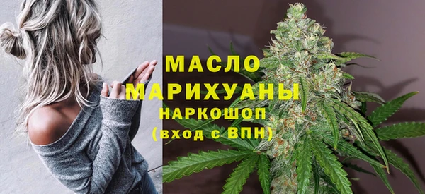 гидра Володарск